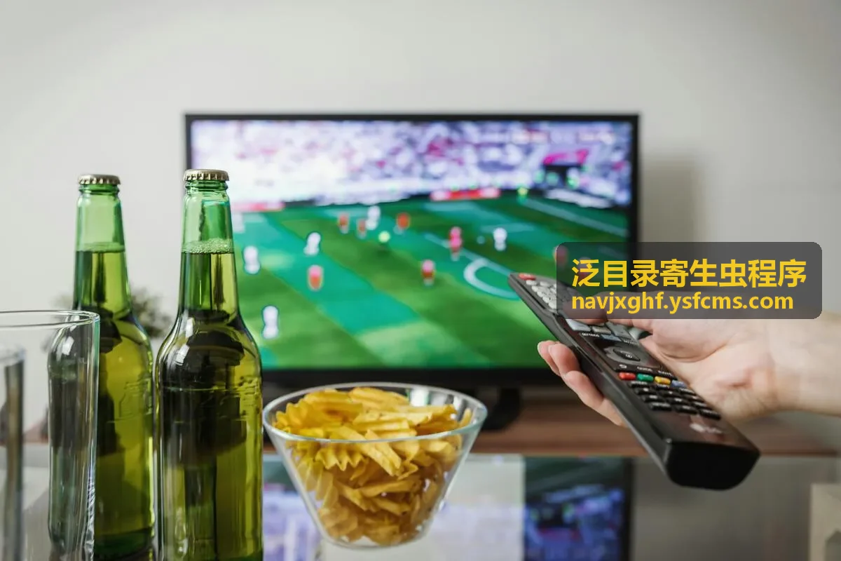 泛二级秒收站群程序异常目录检查示意
